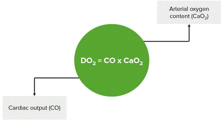 Oxygen Delivery