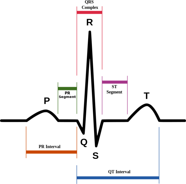 SinusRhythmLabels.svg