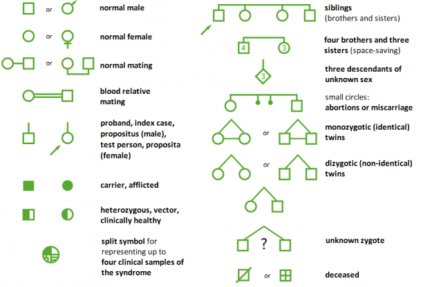 symbol for female genetics