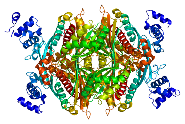 Structure of the HMGCR protein