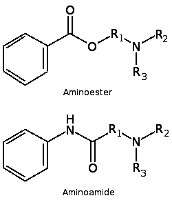 structure of local anesthetics