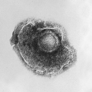 Varicella_(Chickenpox)_Virus antiherpes drugs