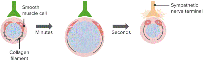 Venous Pressure