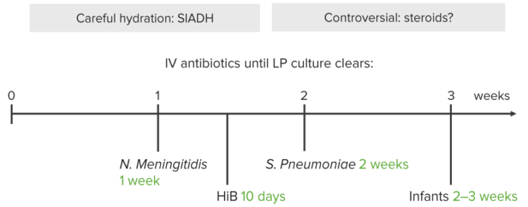 bacterial-meningitis-treatment