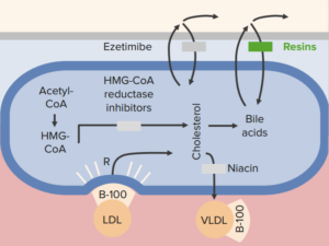 bile-acid