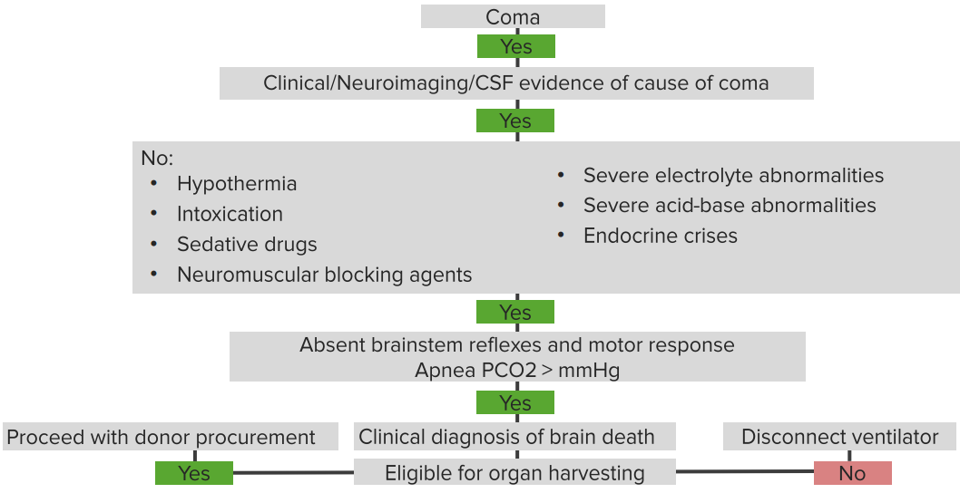 Signs and Criteria of Brain Death and Organ Donation Lecturio