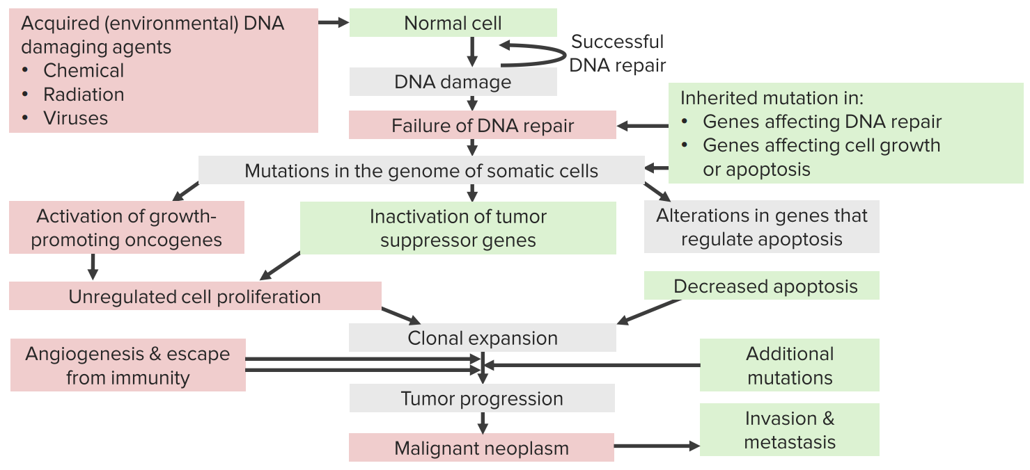 pathology definition