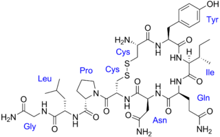 chemical structure of oxytocin