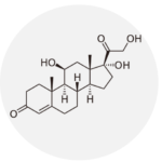 cortisol