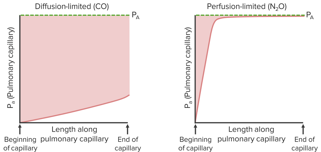 a-a-gradient-alveolar-gas-equation-laboratory-diagnostics