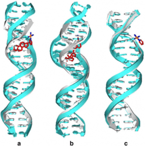 dna helix