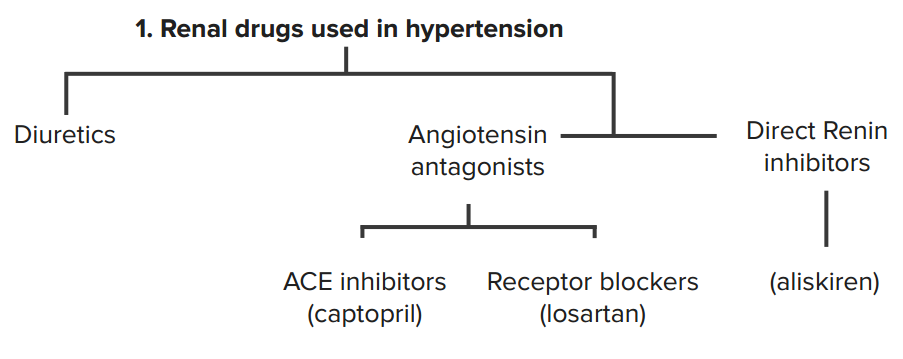 Vasodilators Calcium Channel Blockers Nitrodilators And More