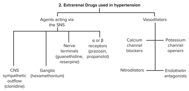 drugs-in-hypertension-2