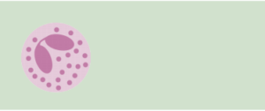 eosinophil