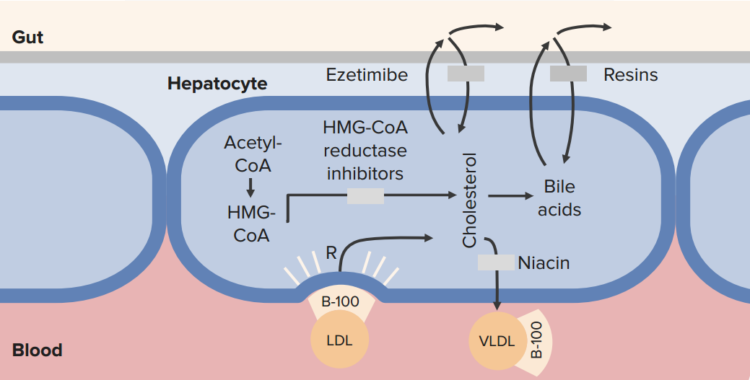 lipid-control2