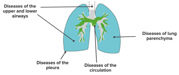 lung diseases