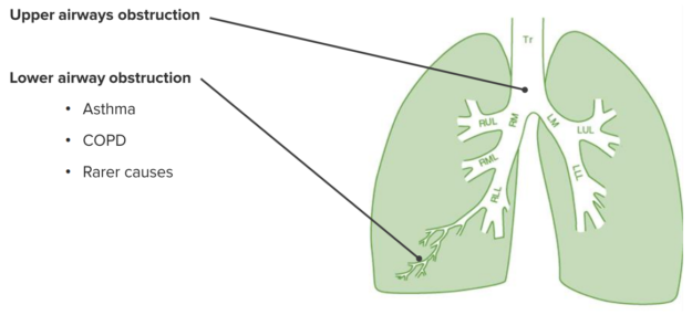 lung diseases-range