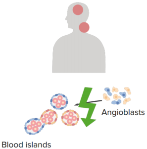 nonneoplastic