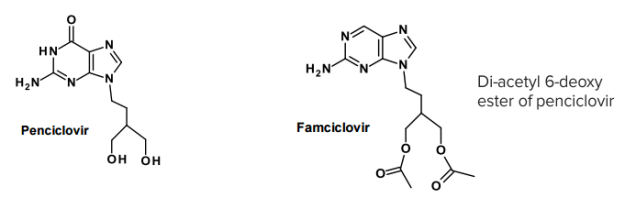 Famciclovir (produg of Penciclovir)