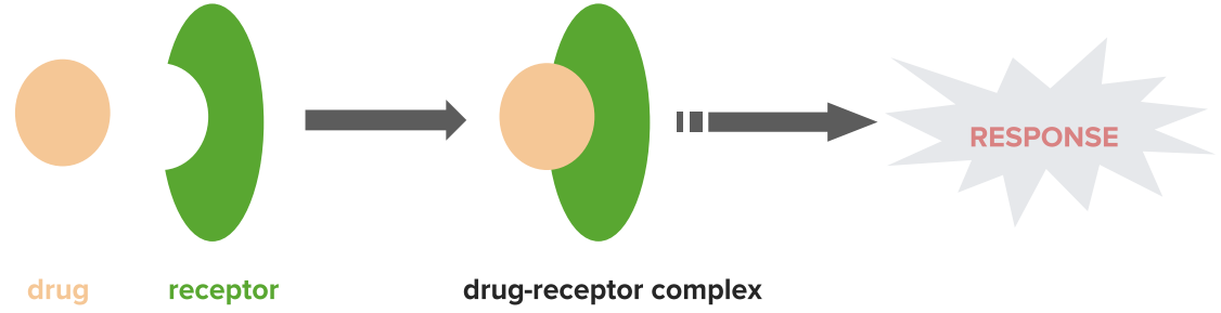 receptor