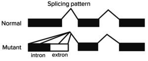 splicing-pattern