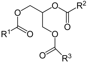 structure fat