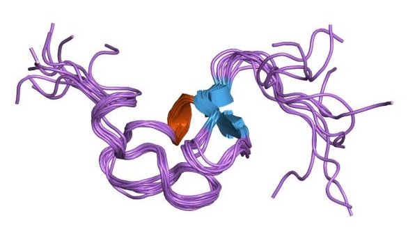 structure of ldl
