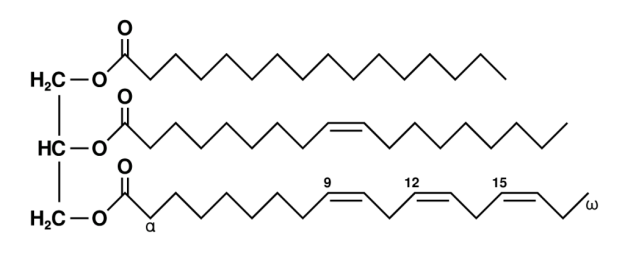 triglyceridmolecule
